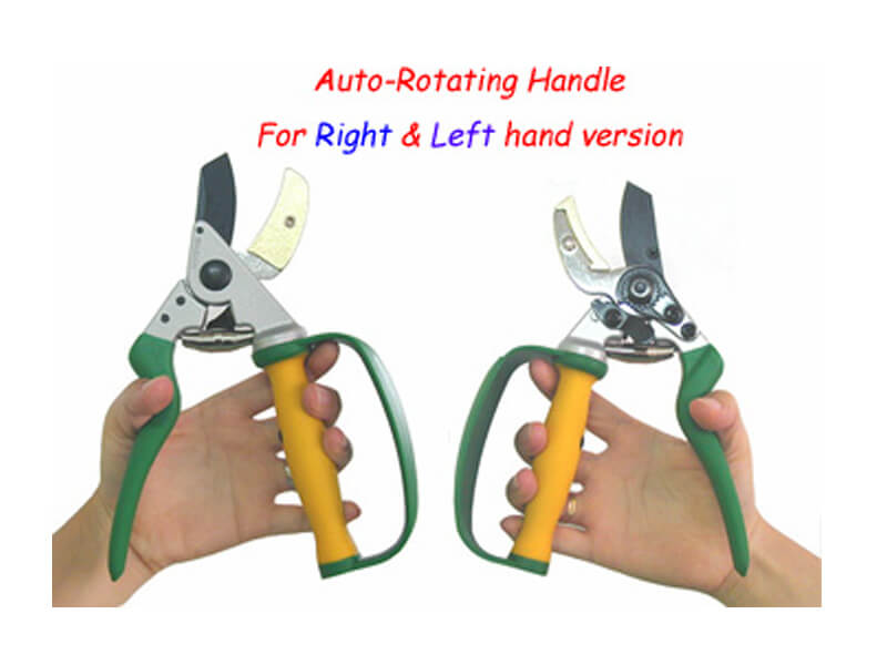 For Right and Left Hand