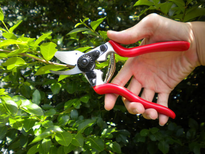 Aluminum Drop Forged Bypass Pruner