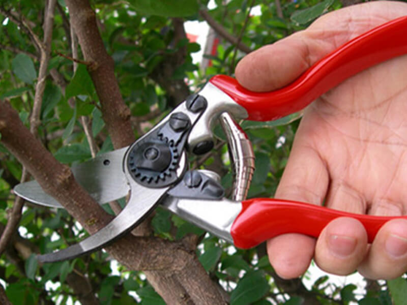 Solid Aluminum Forged Bypass Pruner