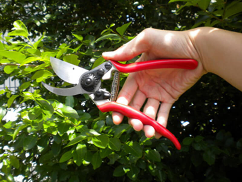 Aluminum Drop Forged Bypass Pruner