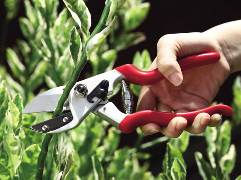 Podadora de yunque forjado de aluminio macizo