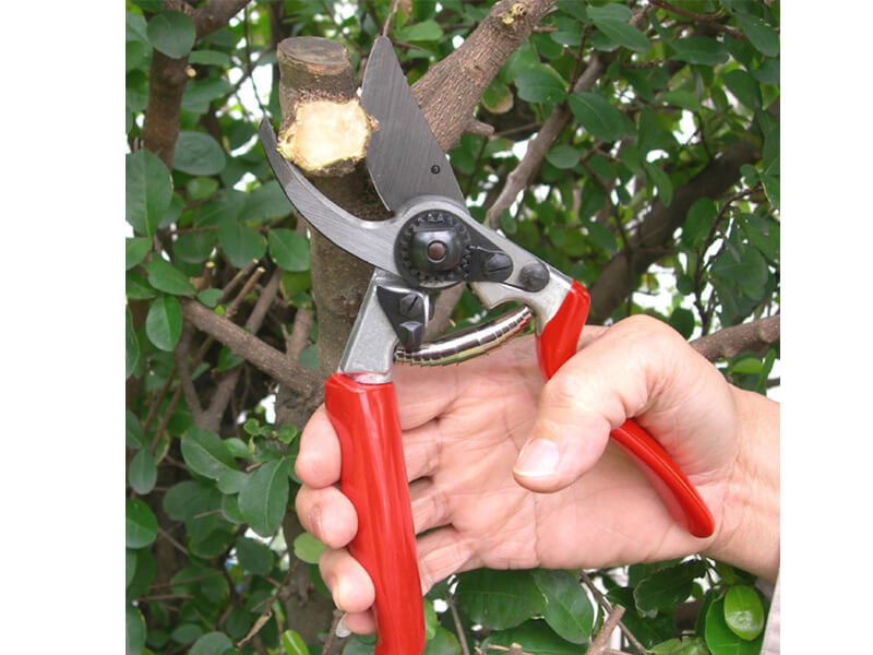 Rotary Drop Forged Bypass Pruner