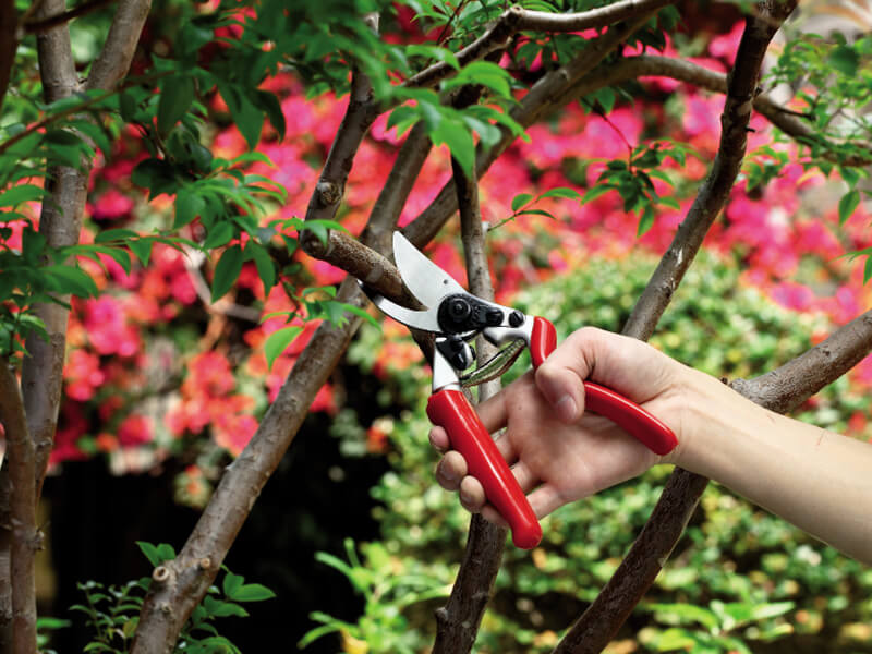 Rotary Drop Forged Bypass Pruner