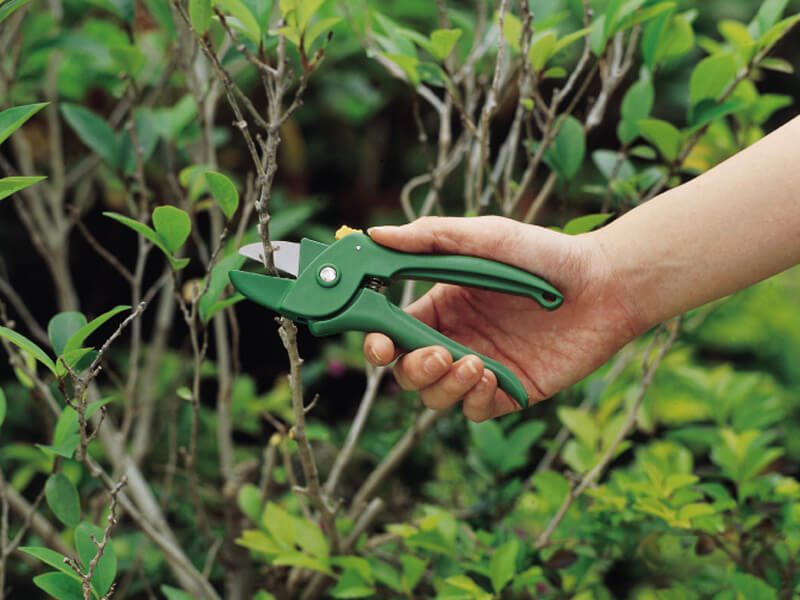 Small Anvil Pruning Shears