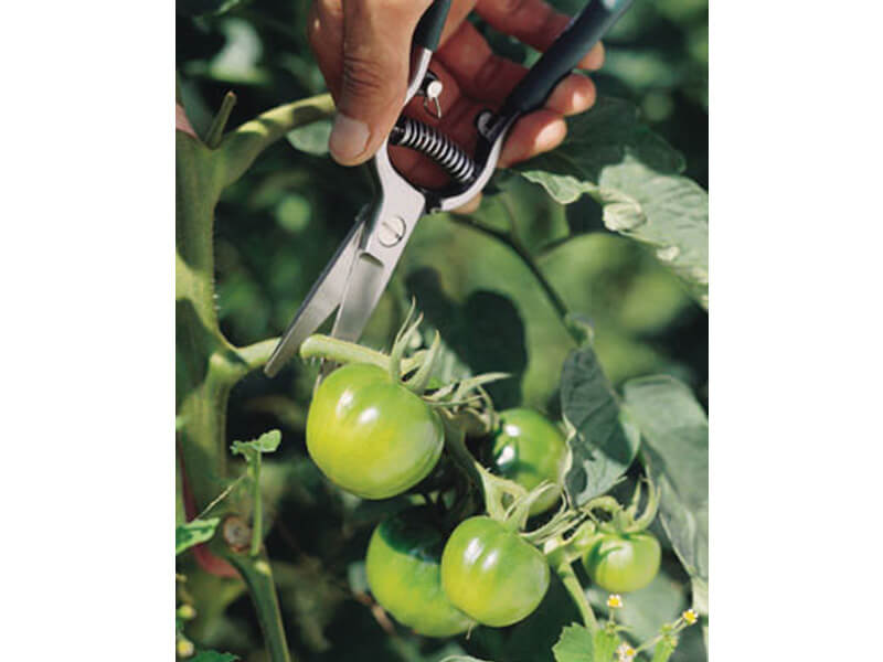 Trimmer Forged Fruit Pruner