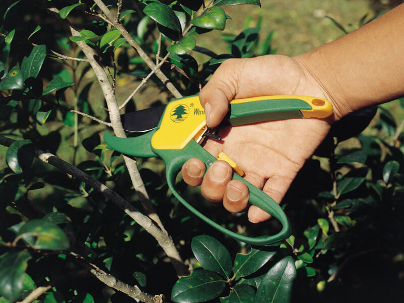 205mm Ratchet Pruning Shears