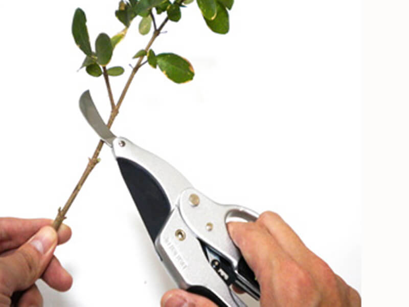 4 in 1 ratchet pruning shears