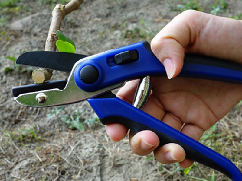 Ergonomic Anvil Pruning Shears