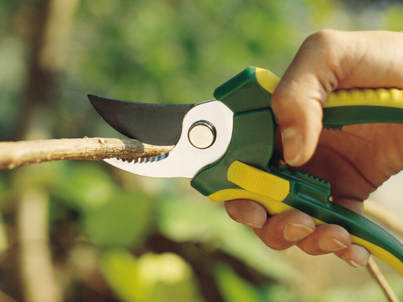 Large Bypass Pruner