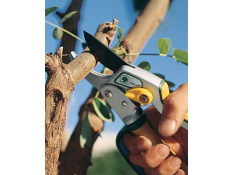 205mm Best Ratchet Pruning Shears