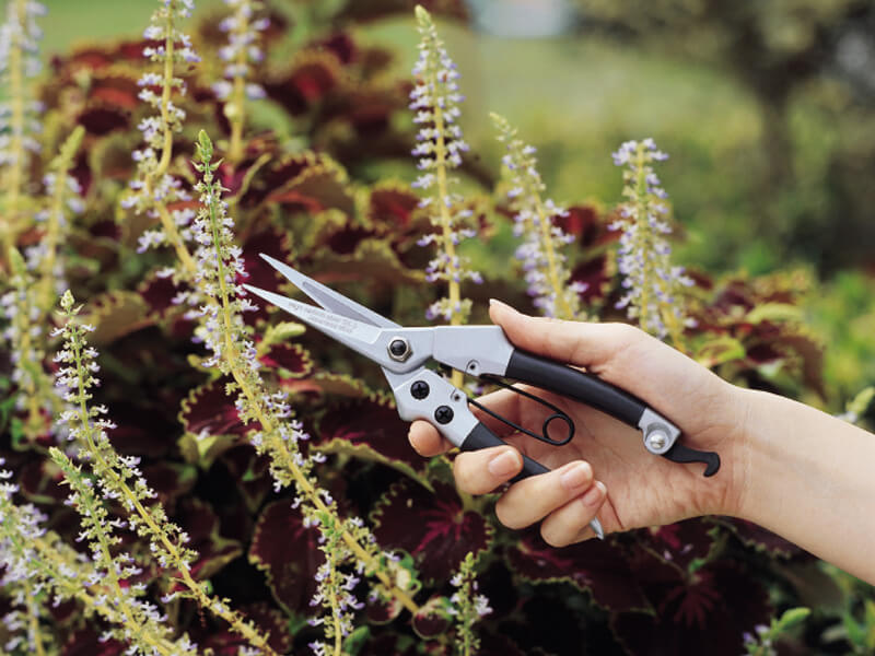 Podadora de flores de corte resistente