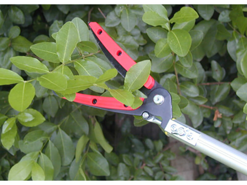 Long Reach Leafage Pruner (Big Open) - 4 sizes for option