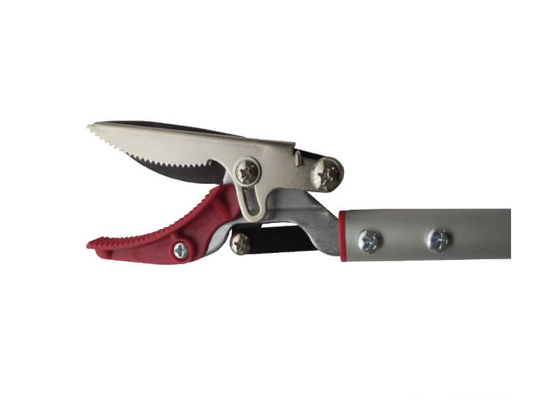 Long Reach Pruner