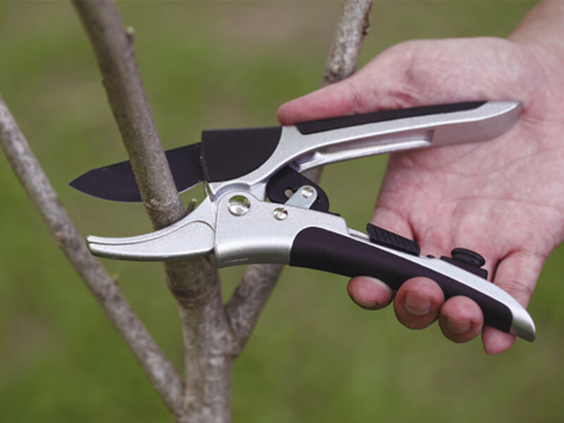 200mm Ratchet Pruning Shears