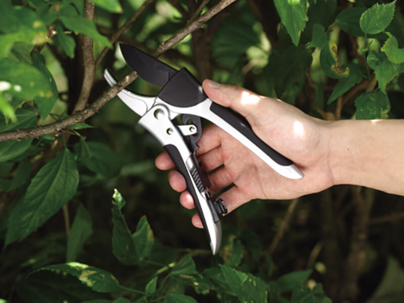 200mm Ratchet Pruning Shears