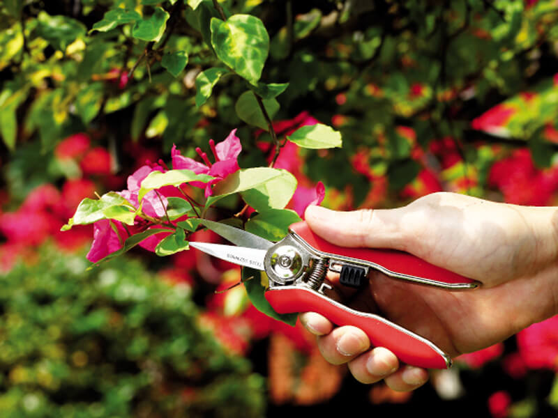 Mini Trimming Floral Shears