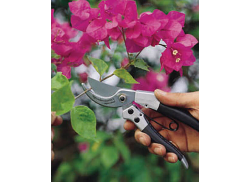 Heavy Duty Bypass Hand Pruner