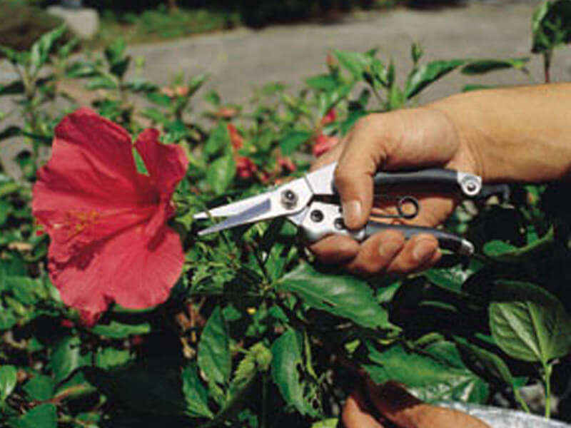 Heavy Duty Trimming Hand Pruner