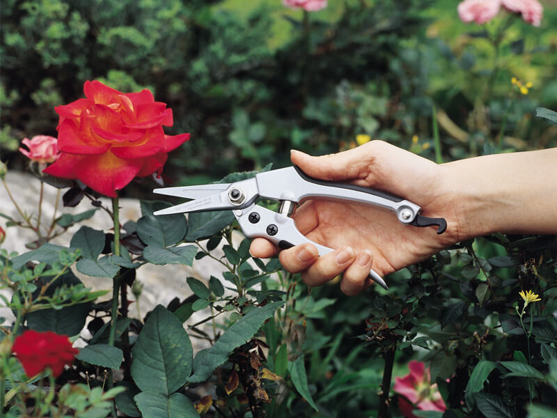 Heavy Duty Trimming Pruner