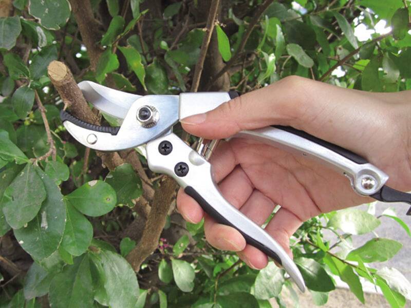 Heavy Duty Anvil Garden Pruner