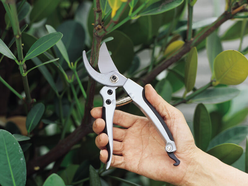 Heavy Duty Bypass Pruner