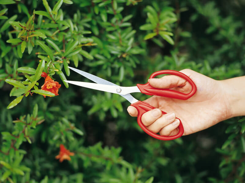 Tijeras de flores con tapa de hoja