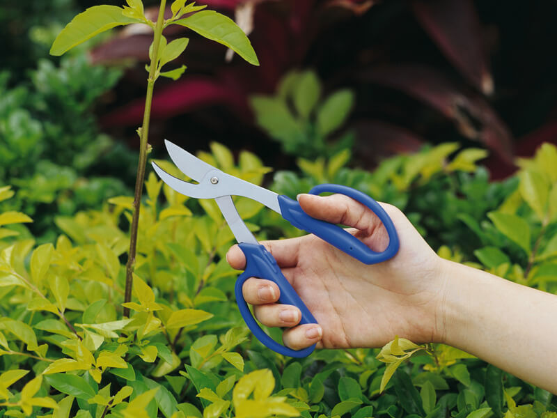 Bypass Pruning Shears