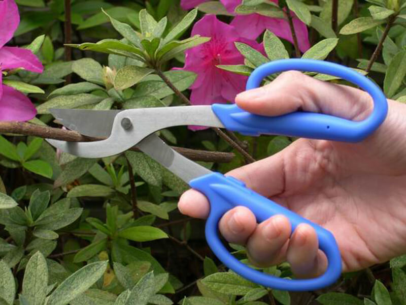 Bypass Pruning Shears