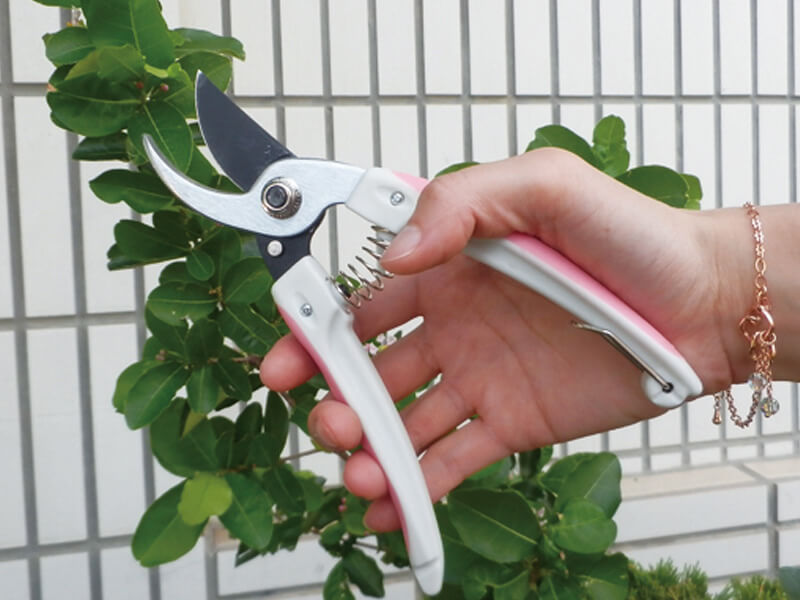 185mm Best Bypass Pruning Shears