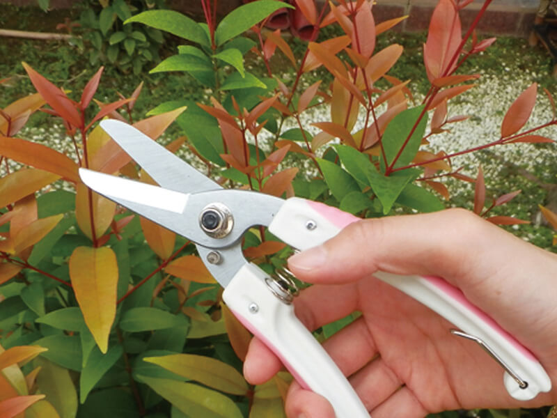 PROFESSIONAL Trimmer pruning shears