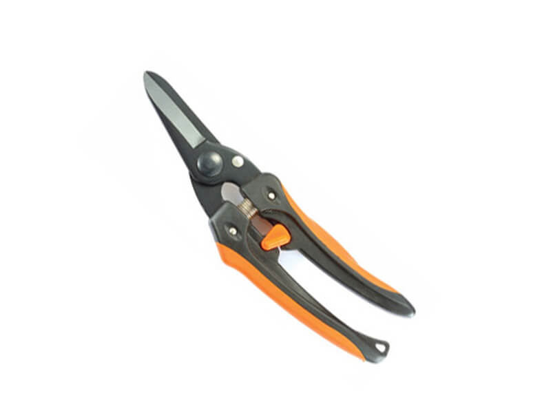 Trimming Floral Pruner