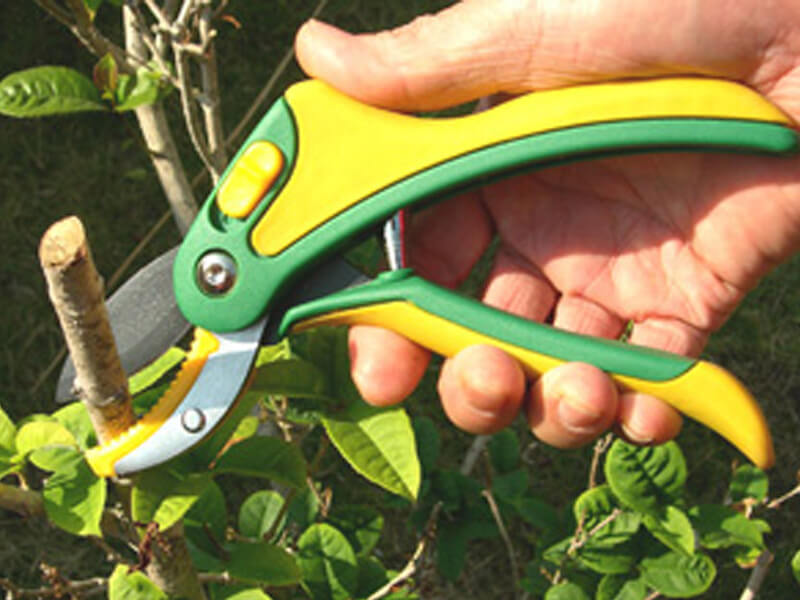 Ergonomic Anvil Pruning Shears