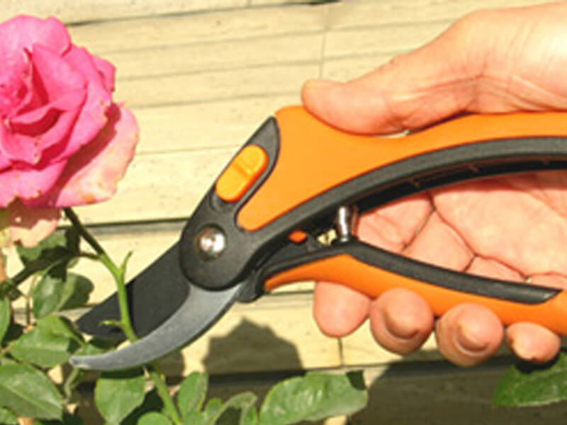 Ergonomic Bypass Pruning Shears