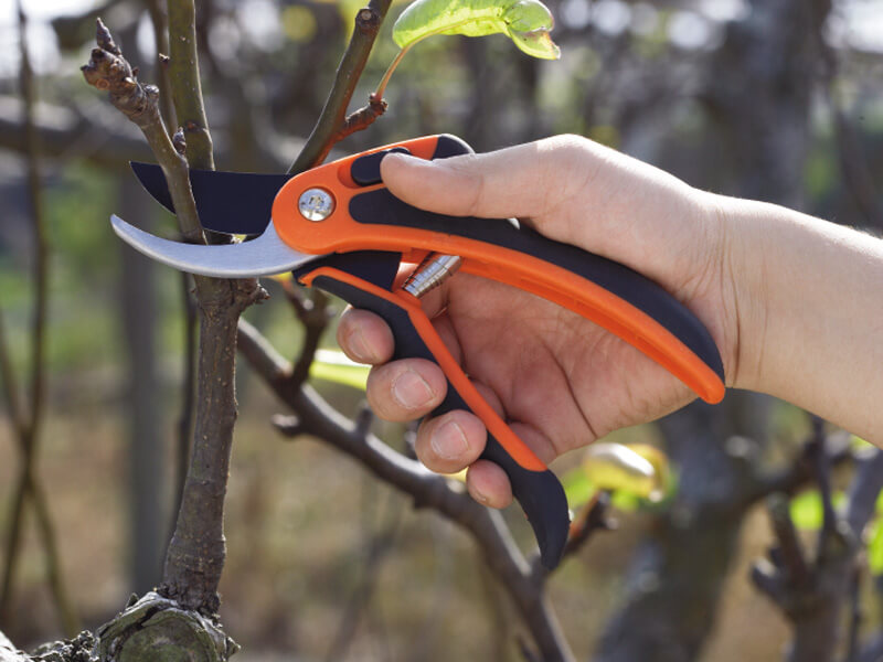 Ergonomic Bypass Pruning Shears