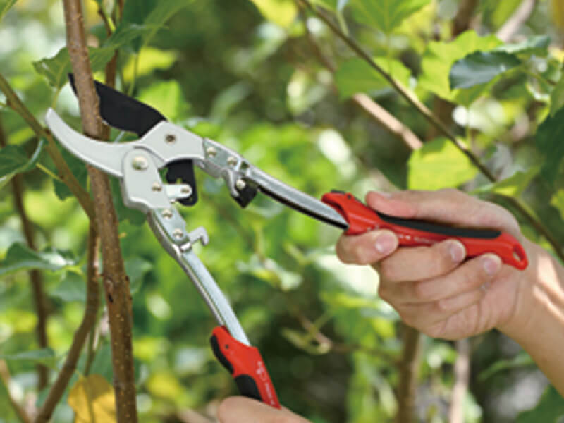 2-in-1 Mini-Teleskopgriffe, Ratschen-Gartenschere + Mini-Astschere