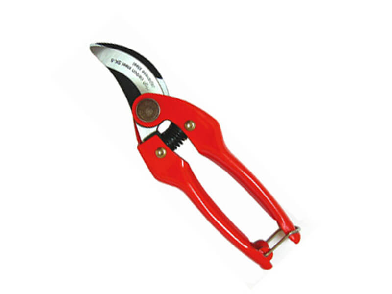 Professionelle Garten-Handschere
