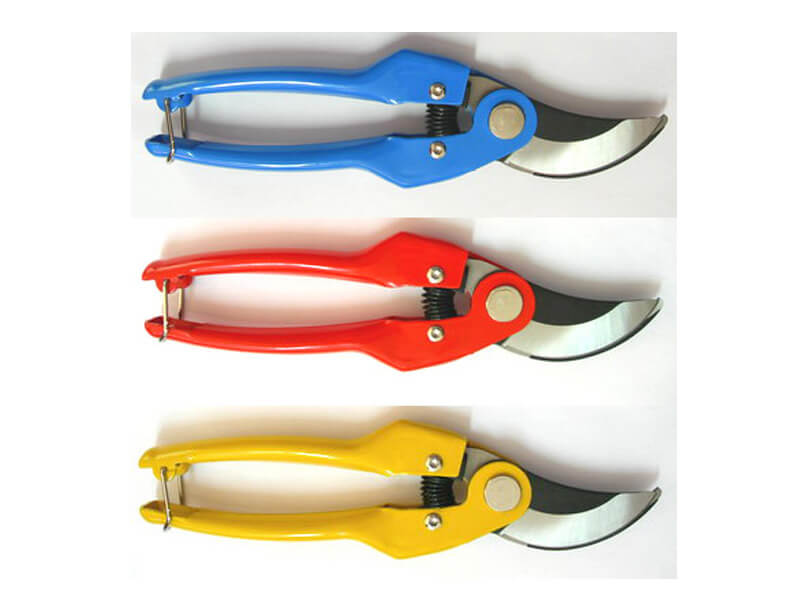 Professional Pruning Shears