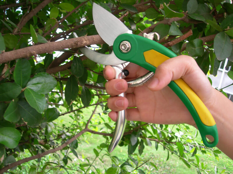 Heavy Duty Pruning Shears