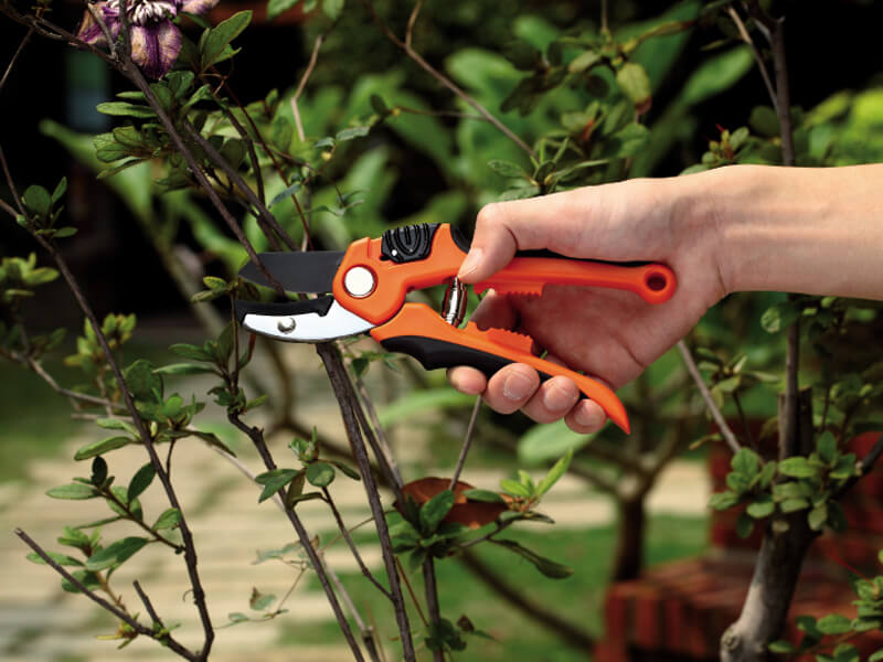 Anvil Pruning Shears