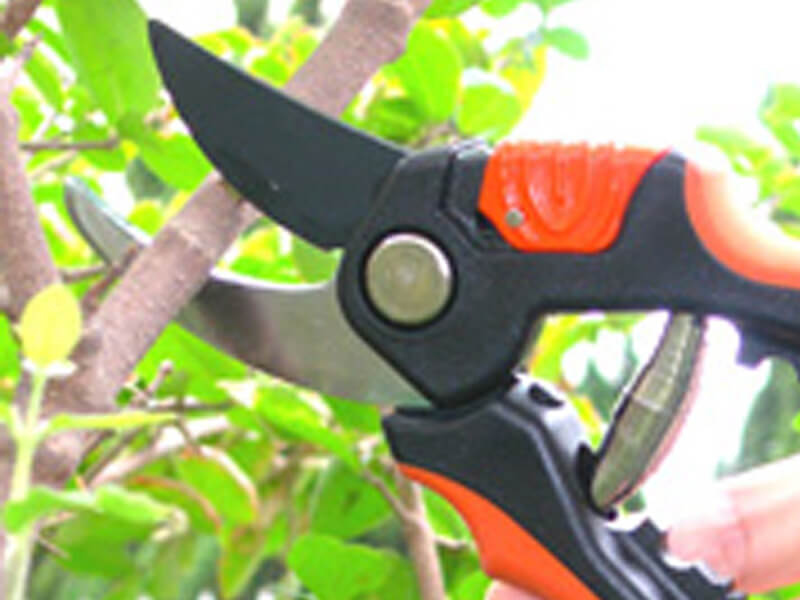 Bypass Pruning Shears