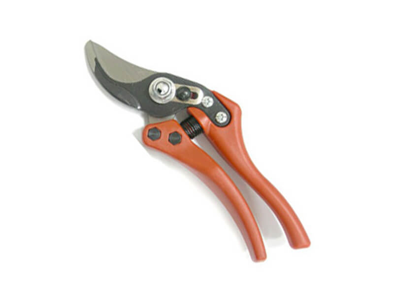 Professional Garden Hand Pruner