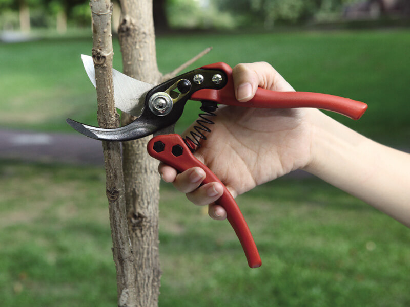 Podador de mão profissional para jardim