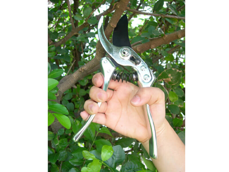 215 mm geschmiedeter Bypass-Gartenschere aus Aluminium