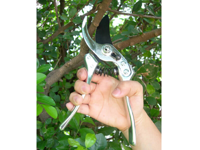 230mm Aluminum Forged Bypass Pruner