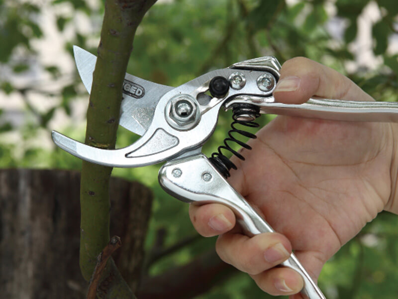 215mm Aluminum Forged Bypass Pruner