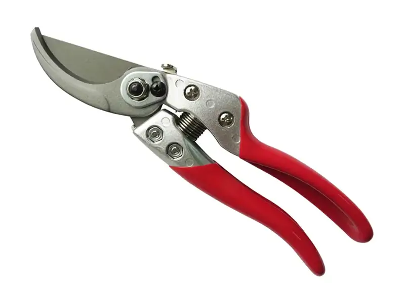 Premium Bypass Pruner