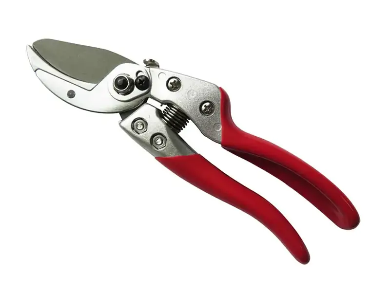 Premium Bypass Pruner