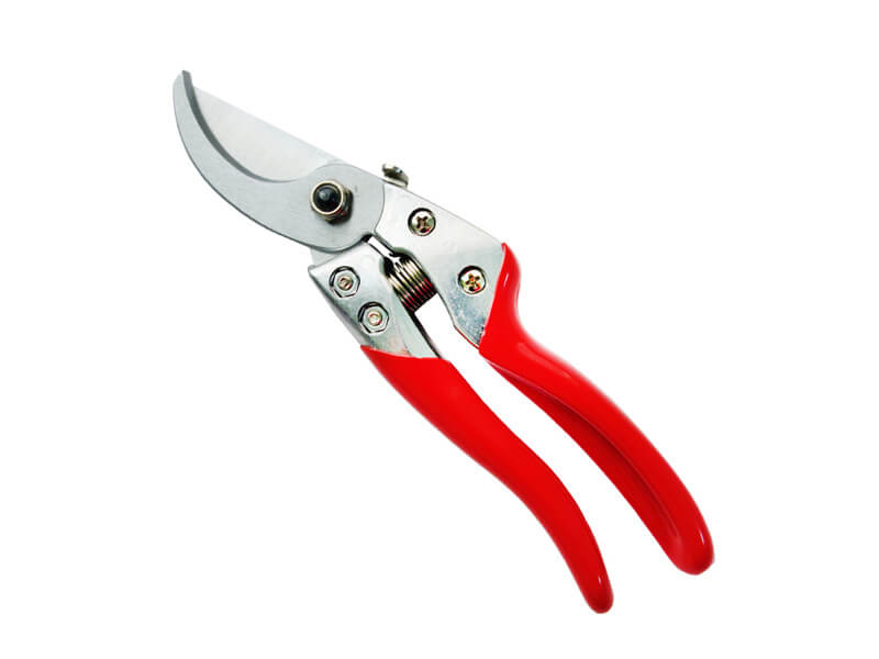 Premium Bypass Pruner