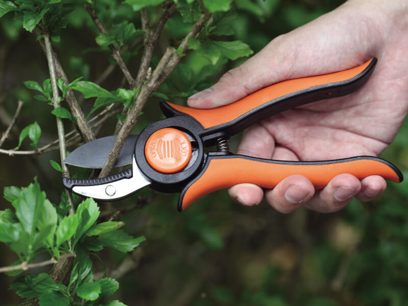 Anvil Pruning Shear with Smart Lock