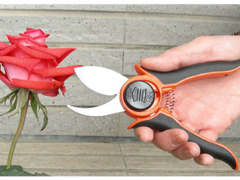 Bypass Pruning Shear with Smart Lock